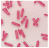 酪農場の訪問客における大腸菌 O157:H7 感染