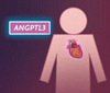 ANGPTL3 と心血管リスク