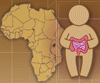 アフリカにおける小児の下痢の地理的分布