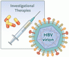 B 型慢性肝炎に対する新たなアプローチ